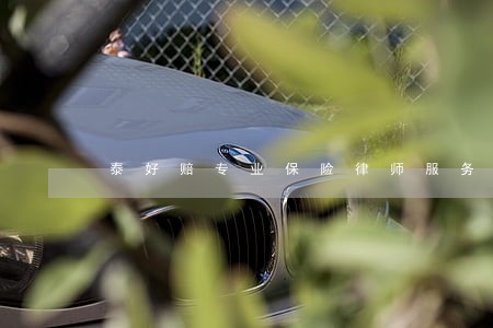 泰好赔专业保险律师服务 泰好赔专业保险律师服务