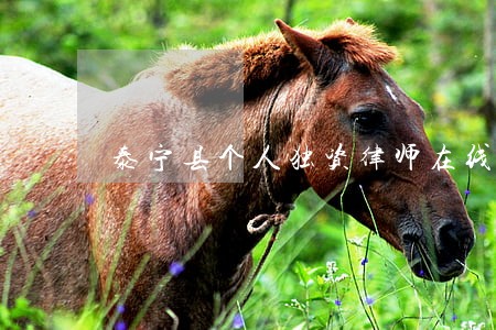 泰宁县个人独资律师在线免费咨询 泰宁县个人独资律师在线免费咨询