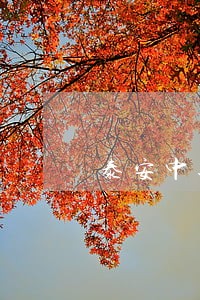 泰安中通被责令改正违法行为 泰安中通被责令改正违法行为
