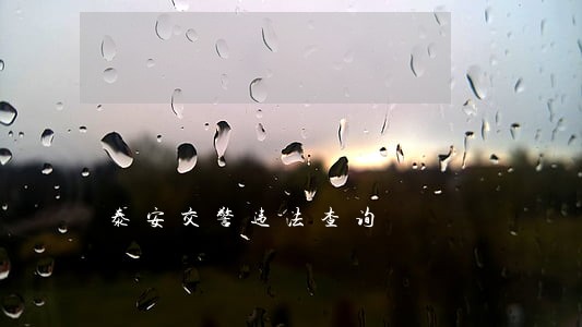 泰安交警违法查询
