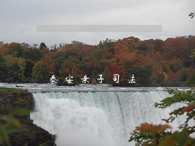 泰安亲子司法