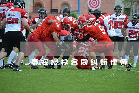 泰安侵权合同纠纷律师 泰安侵权合同纠纷律师