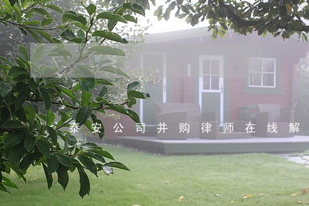 泰安公司并购律师在线解答 泰安公司并购律师在线解答