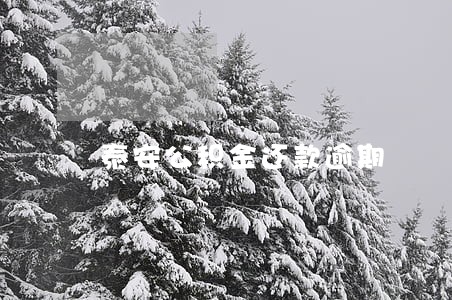 泰安公积金还款逾期 泰安公积金还款逾期