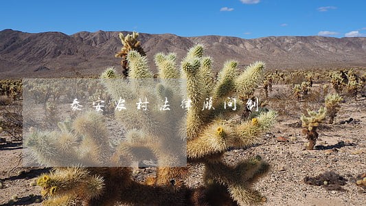 泰安农村法律顾问制