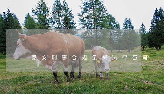 泰安刑事合规免费法律咨询 泰安刑事合规免费法律咨询