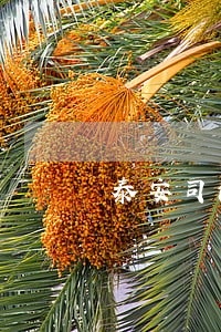 泰安司法拍卖服务