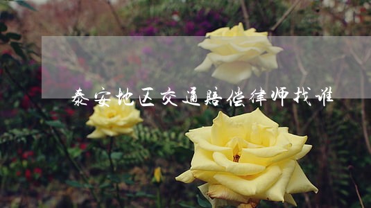 泰安地区交通赔偿律师找谁 泰安地区交通赔偿律师找谁