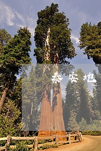 泰安地区债务律师免费咨询 泰安地区债务律师免费咨询