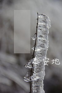 泰安地区债务律师排行 泰安地区债务律师排行