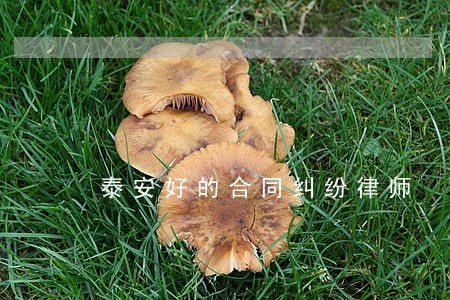 泰安好的合同纠纷律师 泰安好的合同纠纷律师
