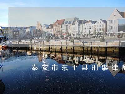 泰安市东平县刑事律师联系电话 泰安市东平县刑事律师联系电话