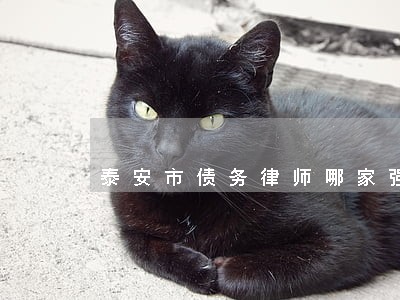 泰安市债务律师哪家强 泰安市债务律师哪家强