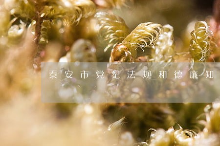 泰安市党纪法规和德廉知识