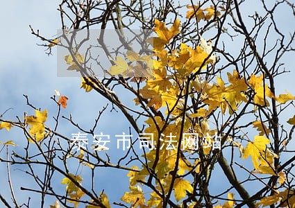 泰安市司法网站 泰安市司法网站