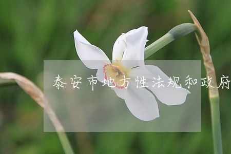 泰安市地方性法规和政府规章 泰安市地方性法规和政府规章