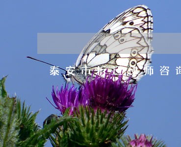 泰安市拆迁律师咨询
