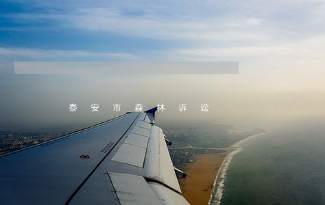 泰安市森林诉讼 泰安市森林诉讼