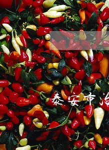泰安市治理违法建设设 泰安市治理违法建设设