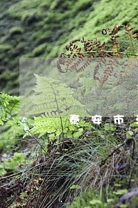 泰安市法院贾德文 泰安市法院贾德文