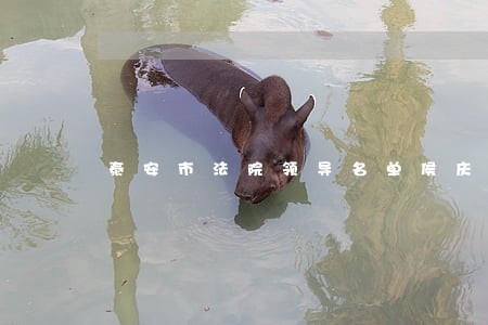 泰安市法院领导名单侯庆国