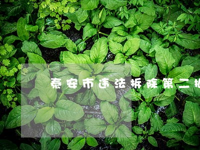 泰安市违法拆除第二批 泰安市违法拆除第二批