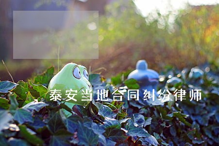 泰安当地合同纠纷律师 泰安当地合同纠纷律师