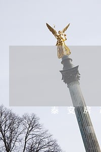 泰安房产律师免费咨询 泰安房产律师免费咨询
