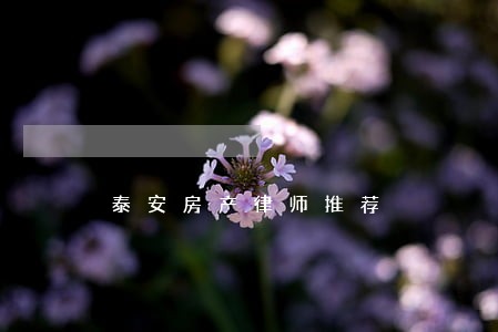 泰安房产律师推荐 泰安房产律师推荐