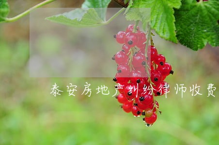 泰安房地产纠纷律师收费标准 泰安房地产纠纷律师收费标准