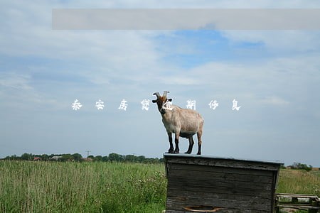 泰安房贷逾期修复 泰安房贷逾期修复