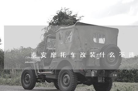 泰安摩托车改装什么不违法 泰安摩托车改装什么不违法