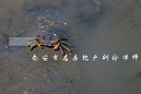泰安有名房地产纠纷律师 泰安有名房地产纠纷律师