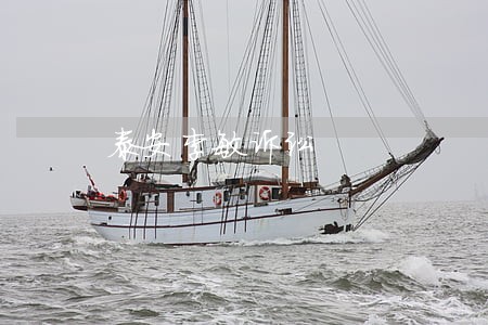 泰安李敏诉讼