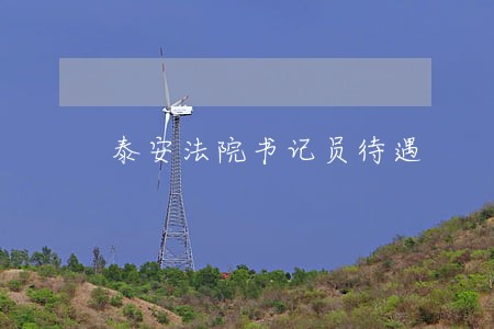泰安法院书记员待遇