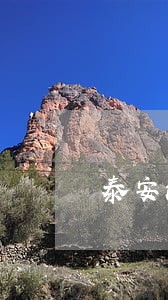 泰安法院宋启超
