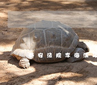 泰安法院李海滨年龄 泰安法院李海滨年龄