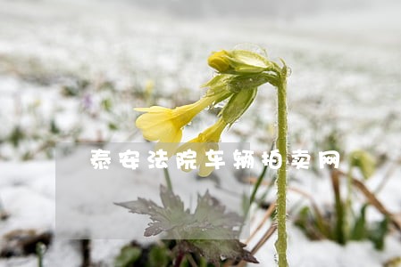 泰安法院车辆拍卖网 泰安法院车辆拍卖网