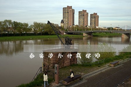 泰安涉外仲裁律师 泰安涉外仲裁律师