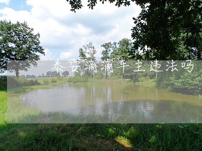 泰安滴滴车主违法吗 泰安滴滴车主违法吗