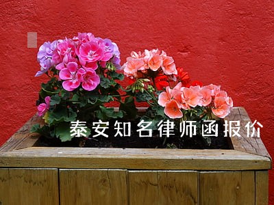 泰安知名律师函报价 泰安知名律师函报价