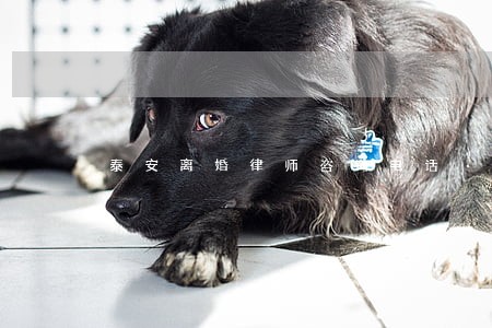 泰安离婚律师咨询电话 泰安离婚律师咨询电话