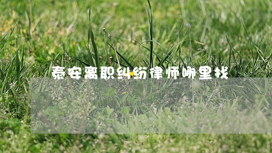 泰安离职纠纷律师哪里找