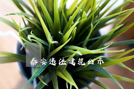 泰安违法建筑公示
