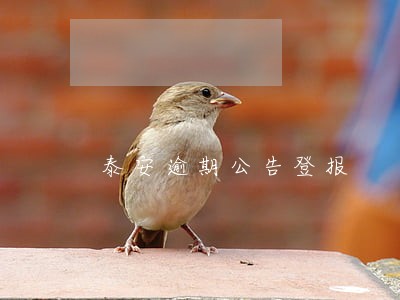 泰安逾期公告登报