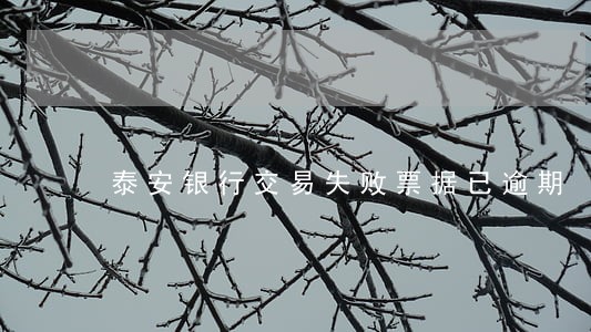 泰安银行交易失败票据已逾期 泰安银行交易失败票据已逾期