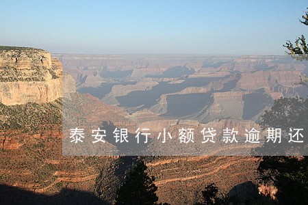 泰安银行小额贷款逾期还款 泰安银行小额贷款逾期还款