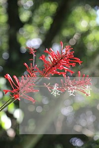 泰安青年路南头法院宿舍