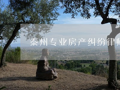 泰州专业房产纠纷律师 泰州专业房产纠纷律师