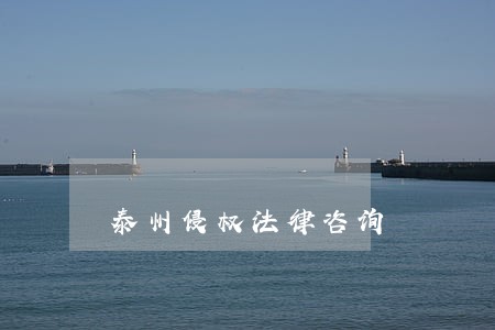 泰州侵权法律咨询 泰州侵权法律咨询
